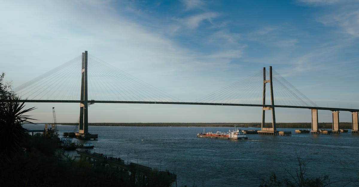 Aesthetic and Functional Aspects of Vertical Garden Design