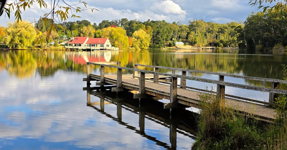 Colour Schemes: How to Choose Plants for Visual Impact