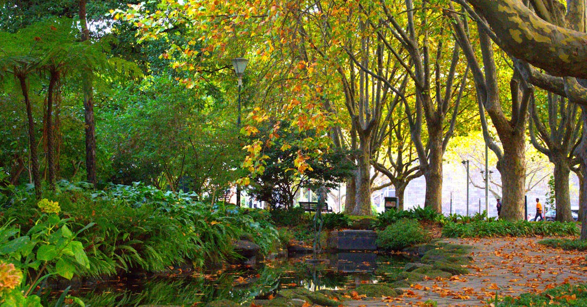 Creating Functional Outdoor Living Areas for Family Gatherings