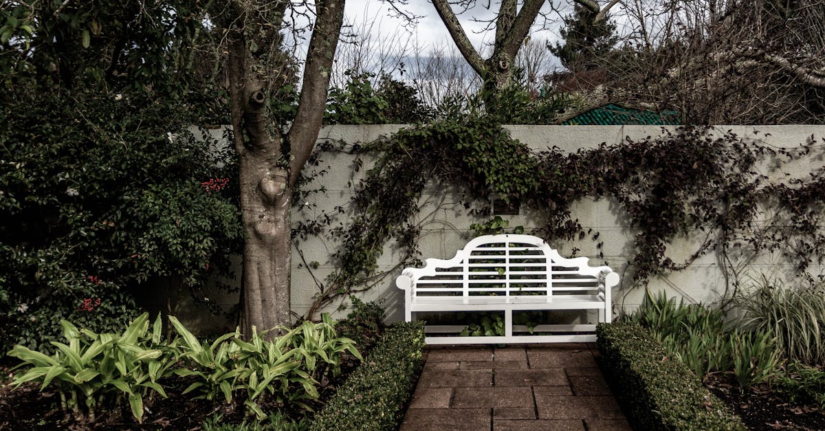 Creating Safe and Inviting Children's Play Areas in Gardens