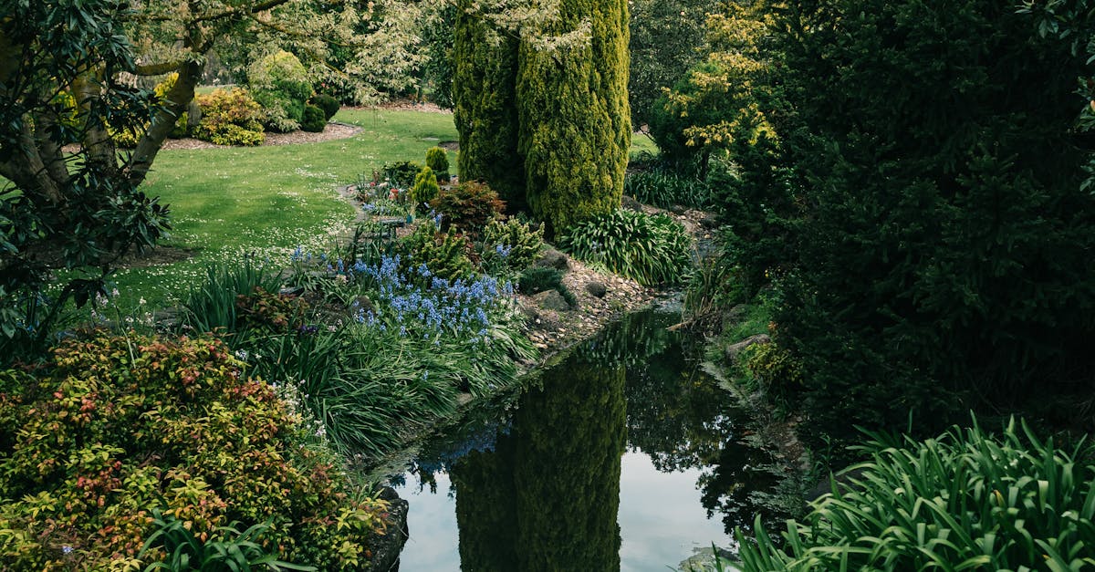 Creating Wildlife-Friendly Urban Environments