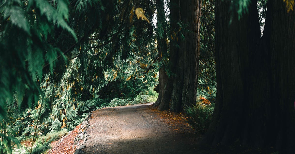 Designing Biodiverse Landscapes for Climate Resilience