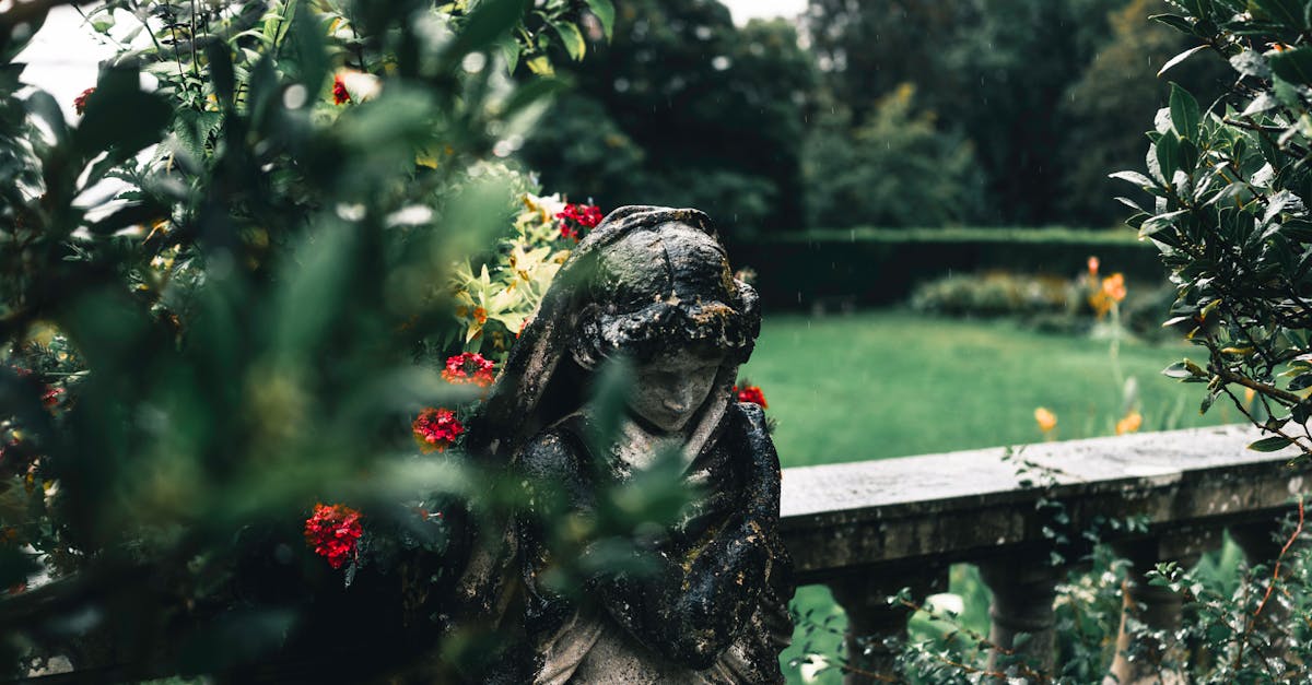 Designing Edible Gardens for Urban Dwellers