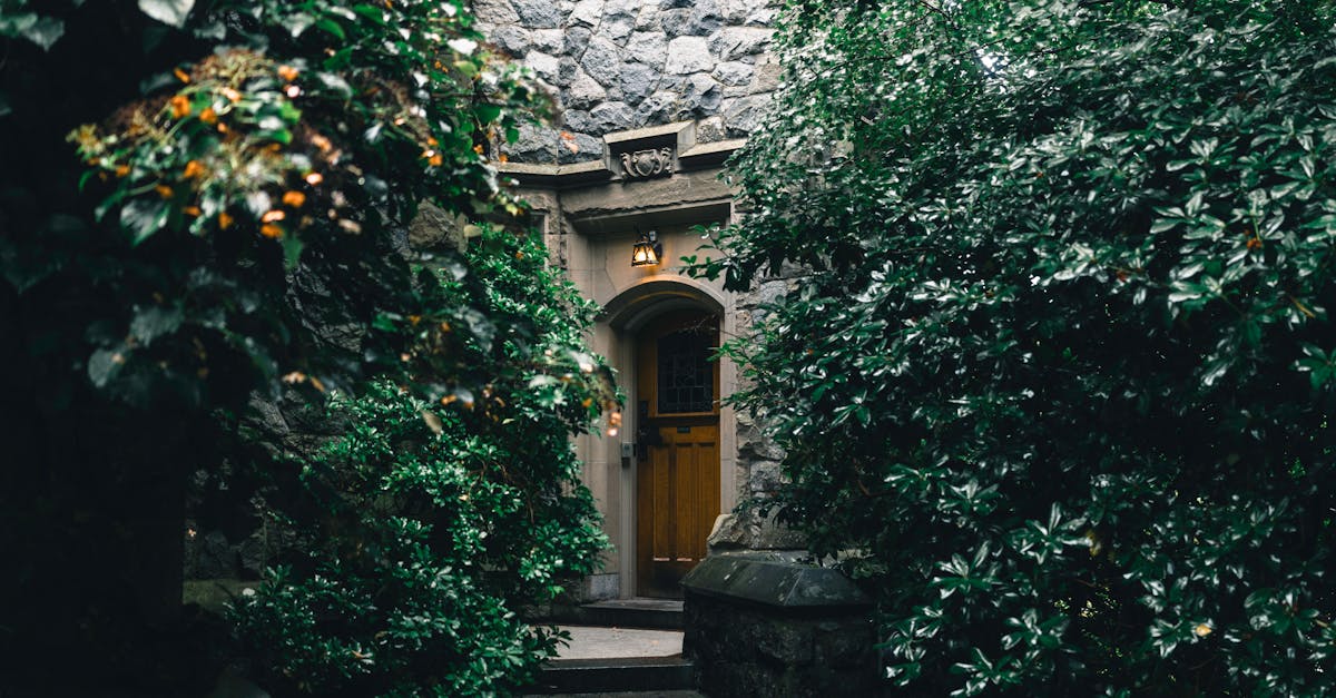 Designing with Native Plants: A Step by Step Guide