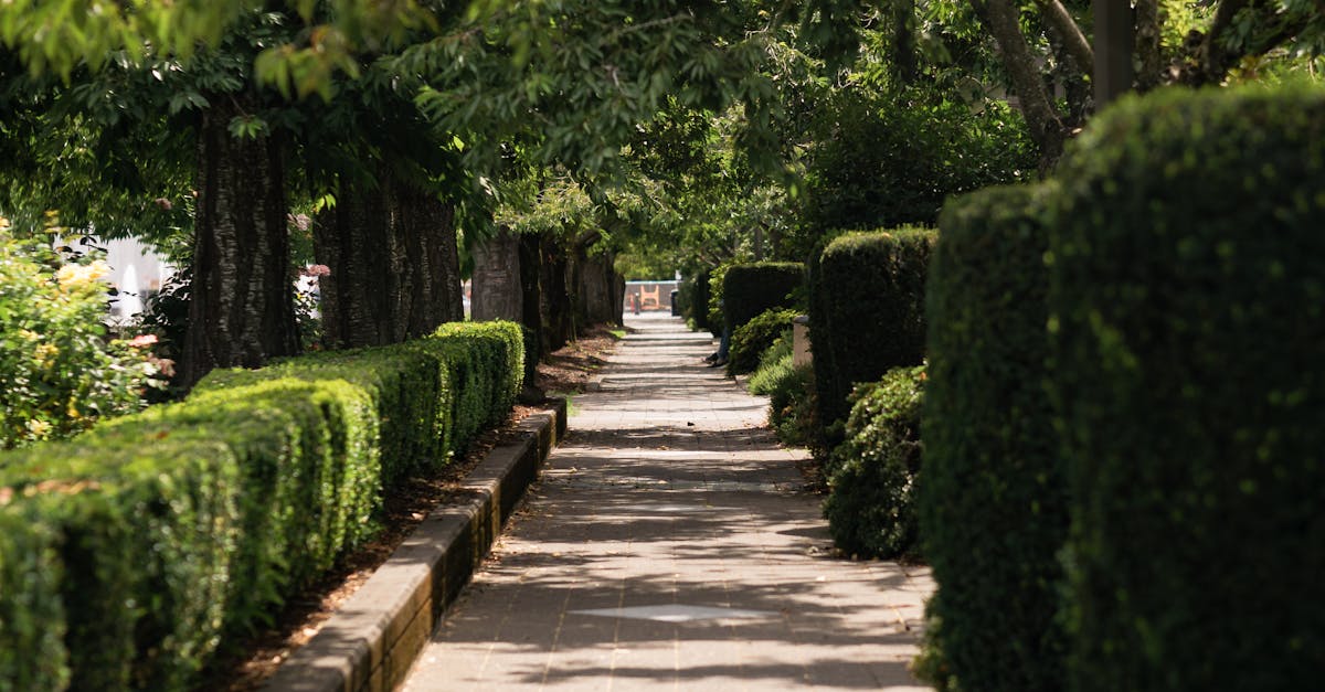Enhancing Curb Appeal with Decorative Fountain Installations