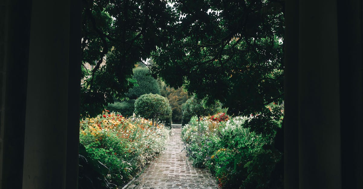 Enhancing Employee Wellbeing with Vertical Greenery