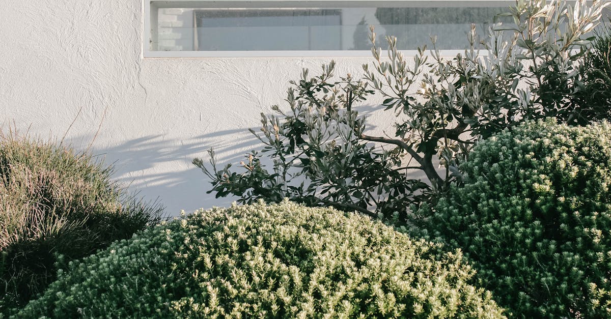 Fencing Options That Complement Residential Landscapes