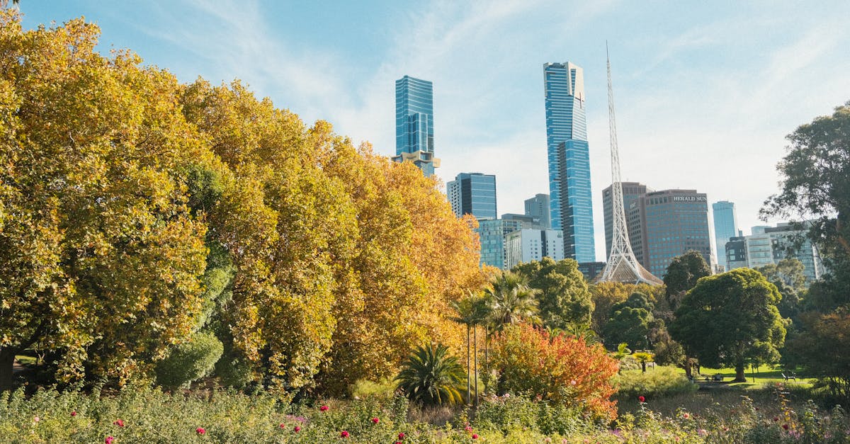 Incorporating Native Flora in Urban Landscape Design