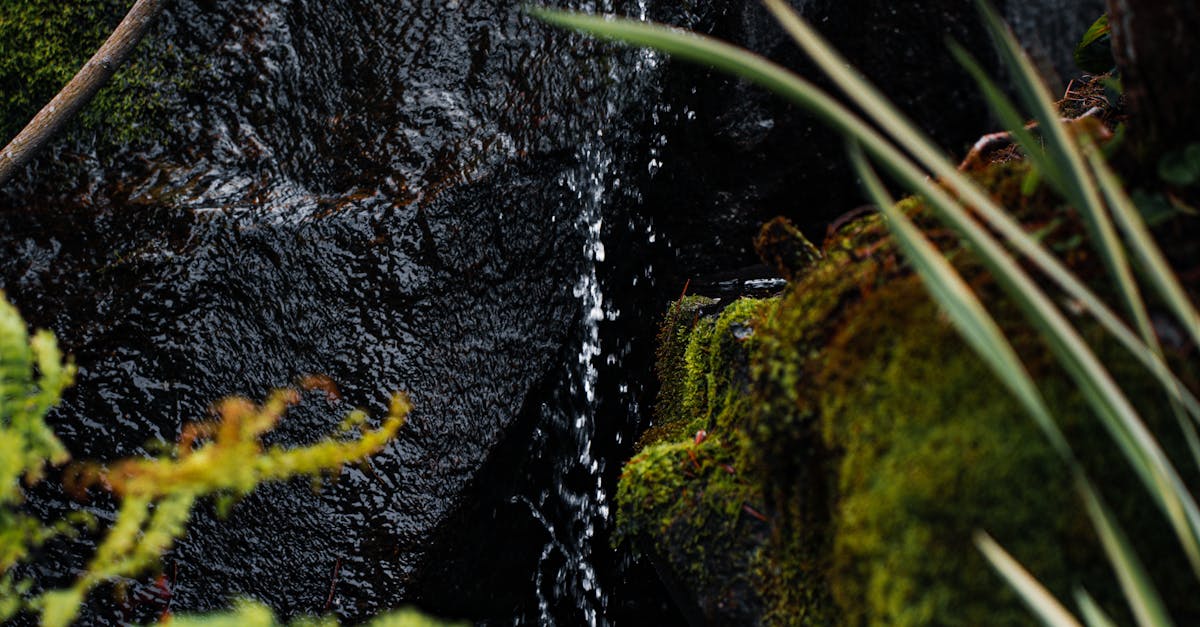 Innovative Irrigation Systems for Sustainable Gardens in Victoria