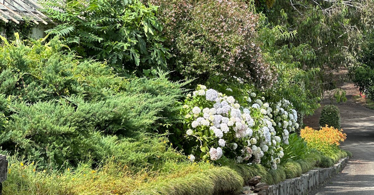 Integrating Fire Pits into Landscape Designs for Sociability