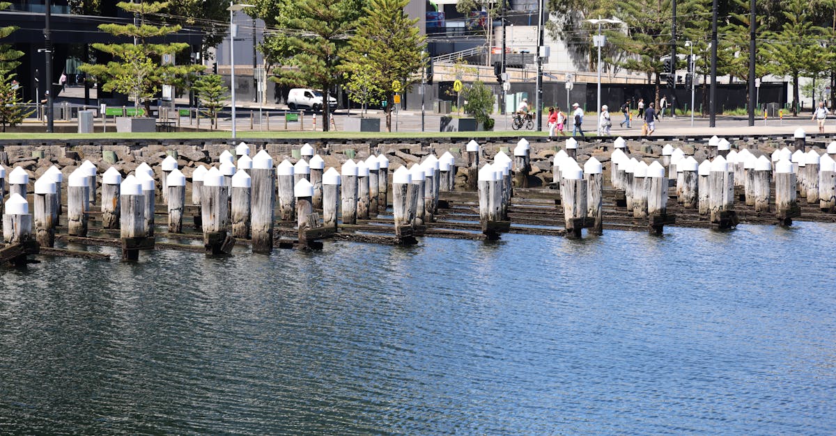 Integrating Local Flora into Plaza Landscaping Projects