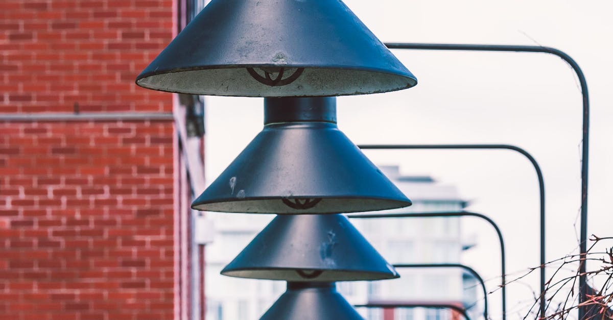 Integrating Water Features into Small Urban Gardens