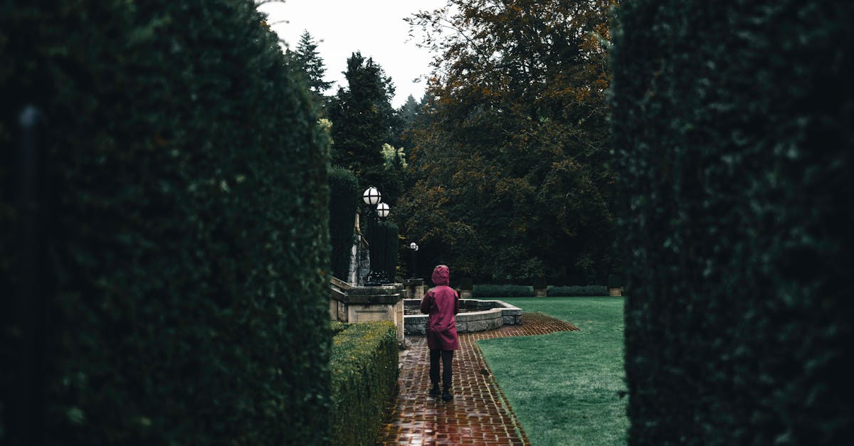 Maximising Green Spaces in Office Developments