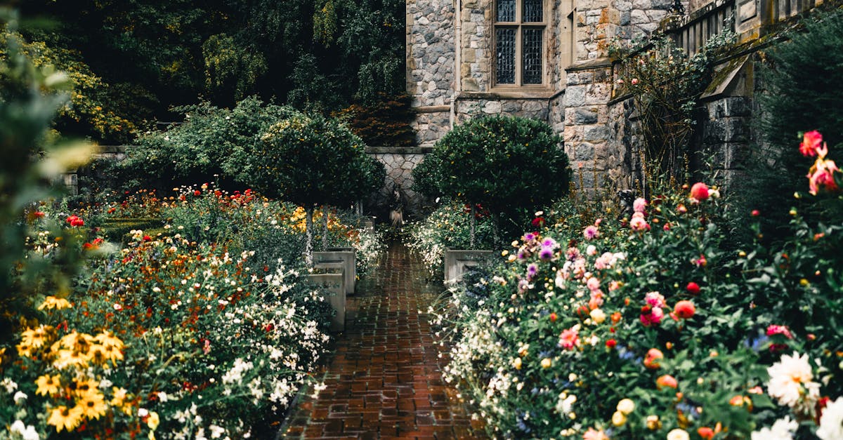 Maximising Space: Green Roof Solutions for Urban Offices