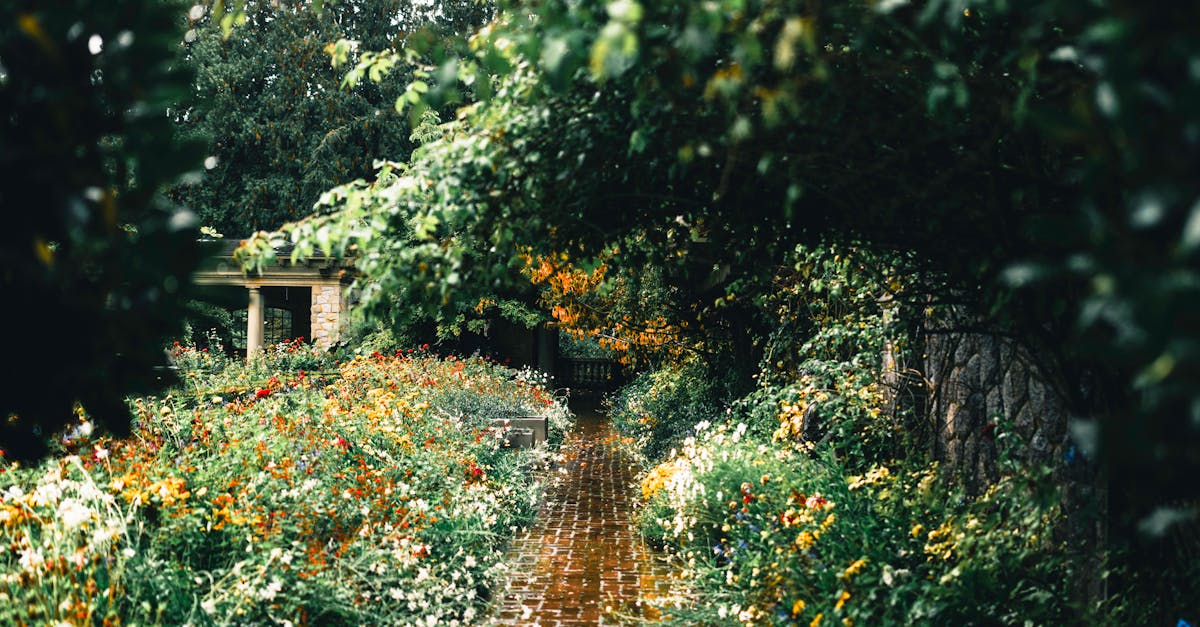 Natural Soil Amendments: Improving Plant Growth and Resilience