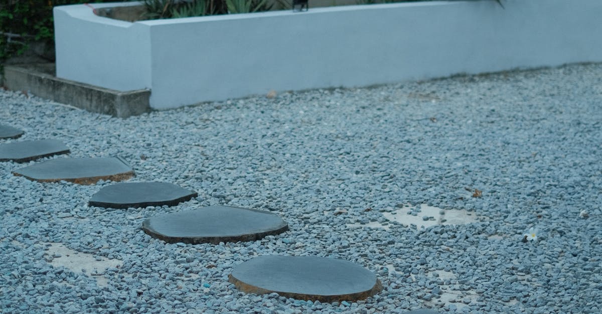 Strategies for Incorporating Play Areas into Urban Landscapes