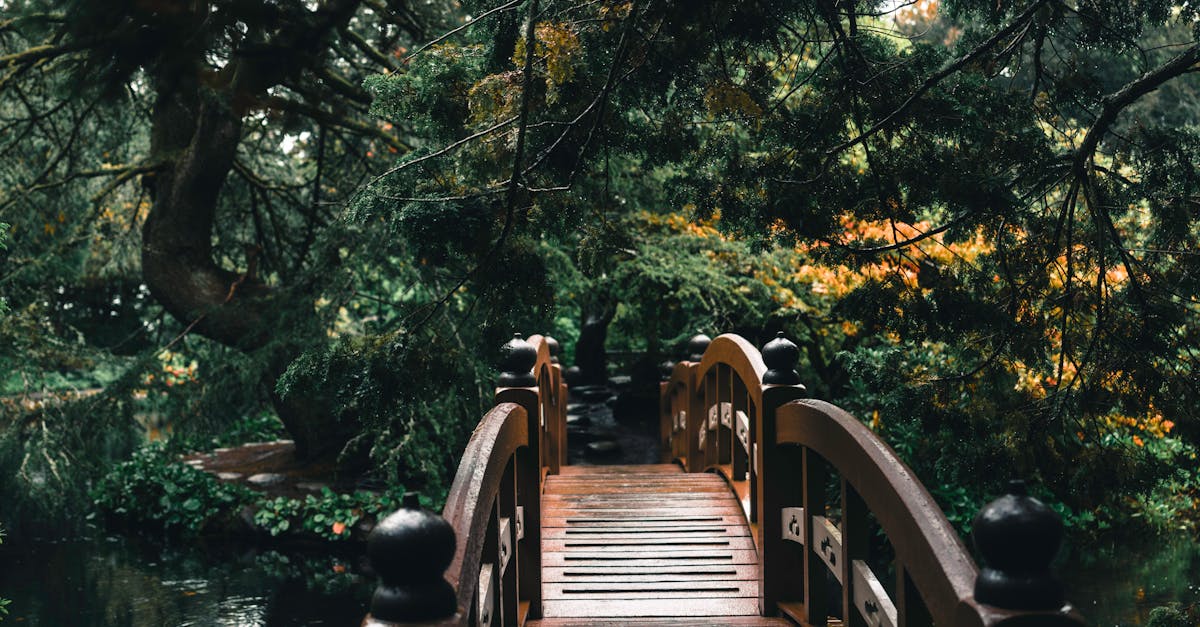 The Benefits of Using Permeable Pavers in Garden Areas