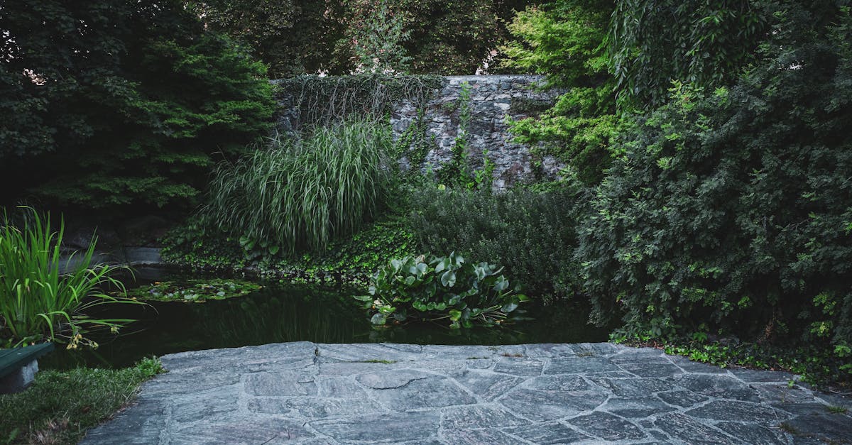 The Impact of Corporate Landscaping on Business Image