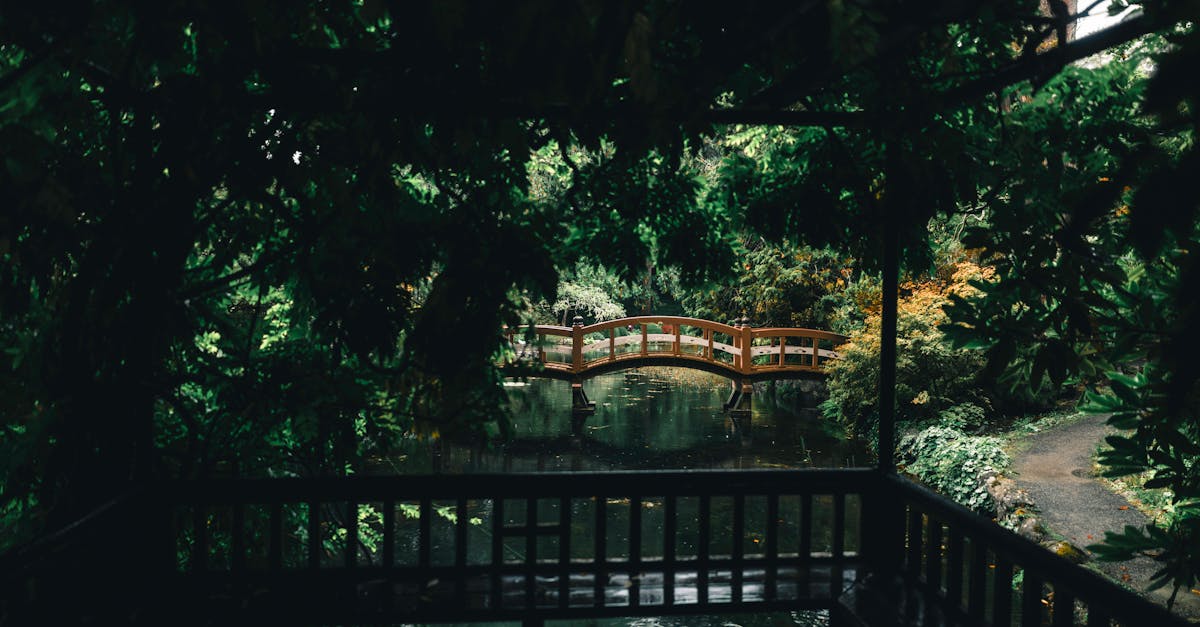 The Impact of Greenery on Retail Customer Experience