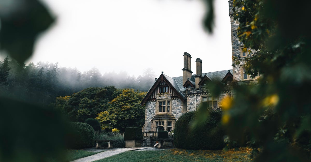 The Impact of Urban Parks on Local Economies