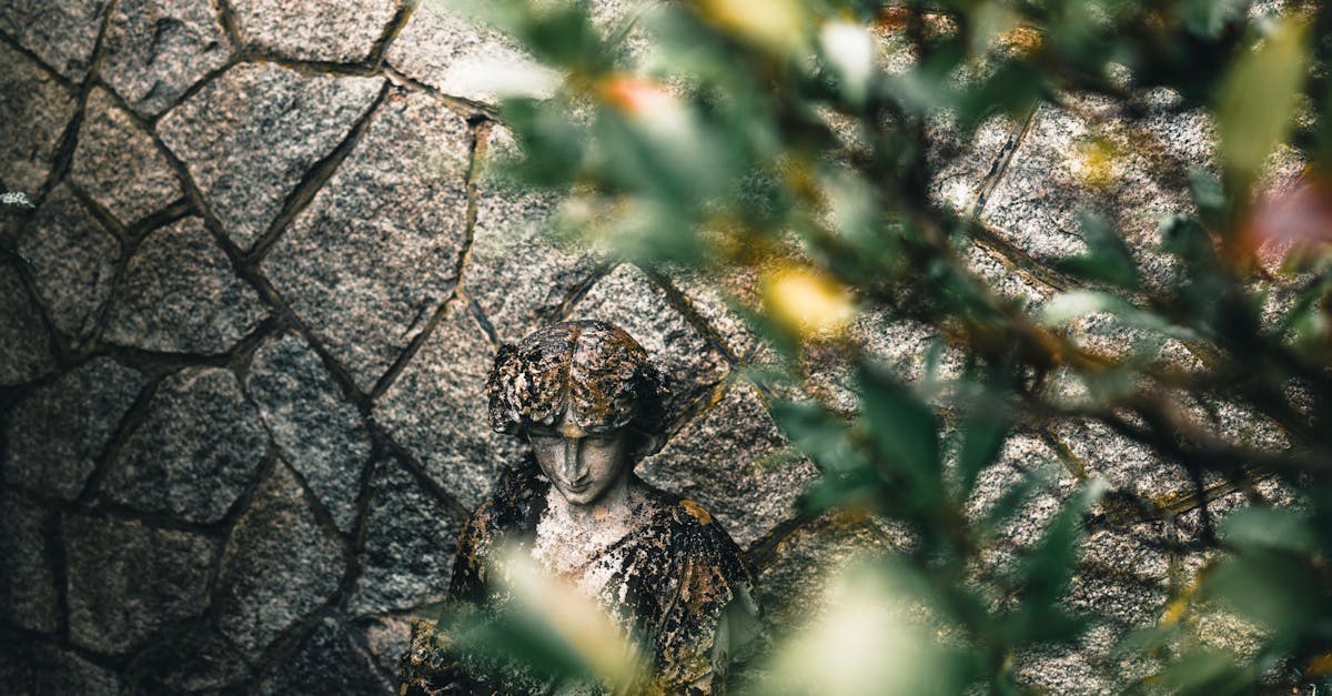 The Role of Landscaping in Improving Urban Aesthetics