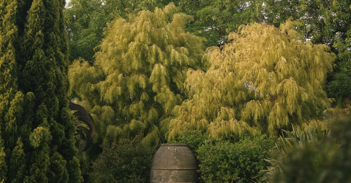 The Role of Perennials in Sustainable Landscape Design