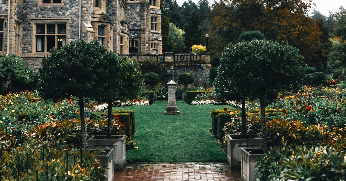 Understanding the Importance of Plant Diversity