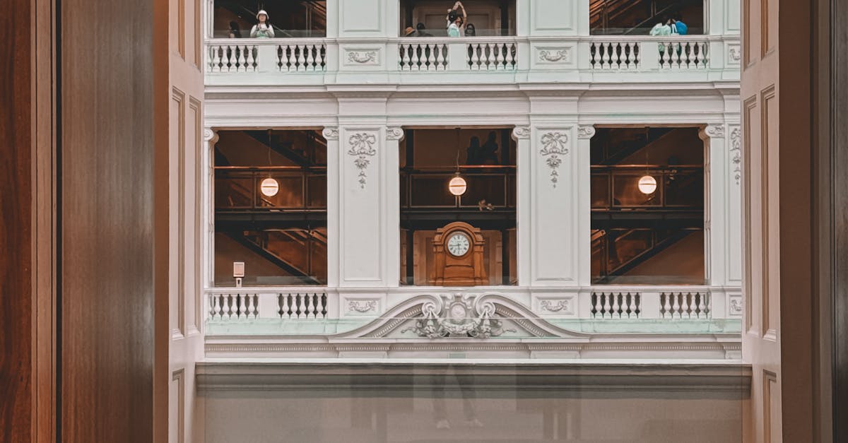 Using Vertical Gardens to Maximise Limited Backyard Space