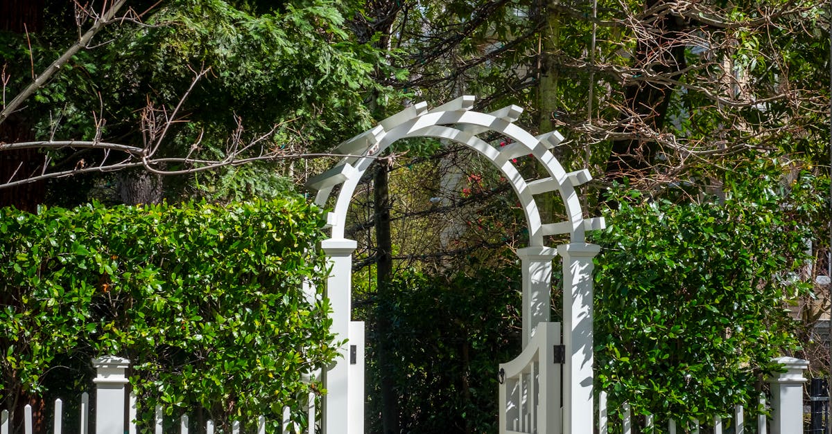 Wildlife-Friendly Water Features for Eco-Conscious Homeowners