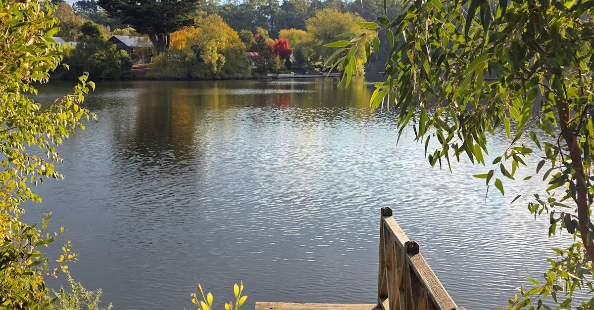 Xeriscaping: Designing Drought-Resistant Landscapes in Victoria